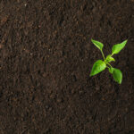 Winter Dressing Tips When It’s Really Cold Out