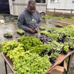 Internal AI Tools vs Customer-Facing AI: What to Build First