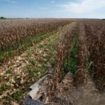 Valuation Games: Why Chasing a High Number Can Kill Your Startup