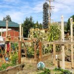 The First 10 Customers Matter More Than the First $100K