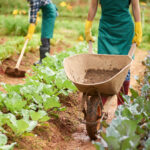 Valuation Games: Why Chasing a High Number Can Kill Your Startup